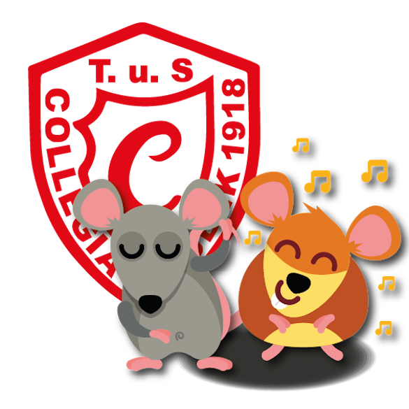 Co-Trainer:in für unsere Tanzmäuse gesucht!