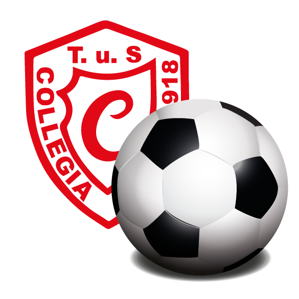 29.01.26: Einladung Fußballsparte JHV