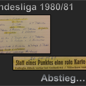 landesliga80-81_10